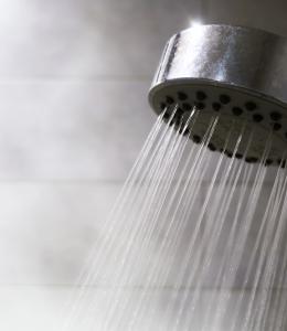 Dutxa Legionella